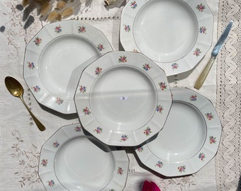 5 Vintage opaque porcelain soup plates by SALINS with a floral pattern - Floral plates - Vintage French tableware