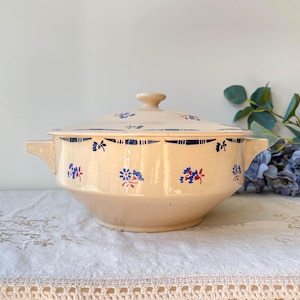 Vintage K&g Luneville porcelain Soup Tureen &quot;Flore&quot; 1950s small blue flowers - Vintage floral tableware