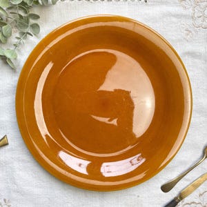 Vintage Longchamp amber earthenware dish, France 1970 - Vintage French tableware - Rustic dishes