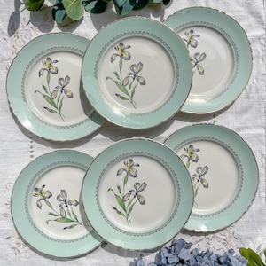 6 Assiettes plates porcelaine vintage blanche verte Iris Moulin des Loups &quot;Sargosse&quot; 1950s - Vaisselle vintage fleurie