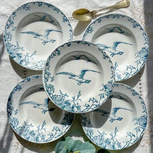 Juego raro de 5 platos hondos de loza azul Gien – Motivos de pájaros y conchas – Vintage Terre de Fer