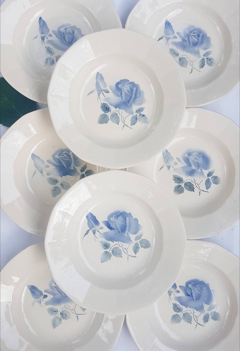 8 hollow plates Digoin Sarreguemines Blue Rose pattern Porcelain Model Cannes Vintage tableware Made in France Vintage tableware