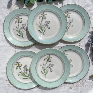 6 Assiettes plates porcelaine vintage blanche verte Iris Moulin des Loups &quot;Sargosse&quot; 1950s - Vaisselle vintage fleurie