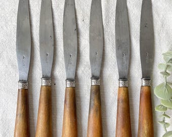 6 Vintage horn knives Silver steel blade LEPINE A LYON France 19th century - Antique cutlery - Kitchen utensils - Vintage tableware