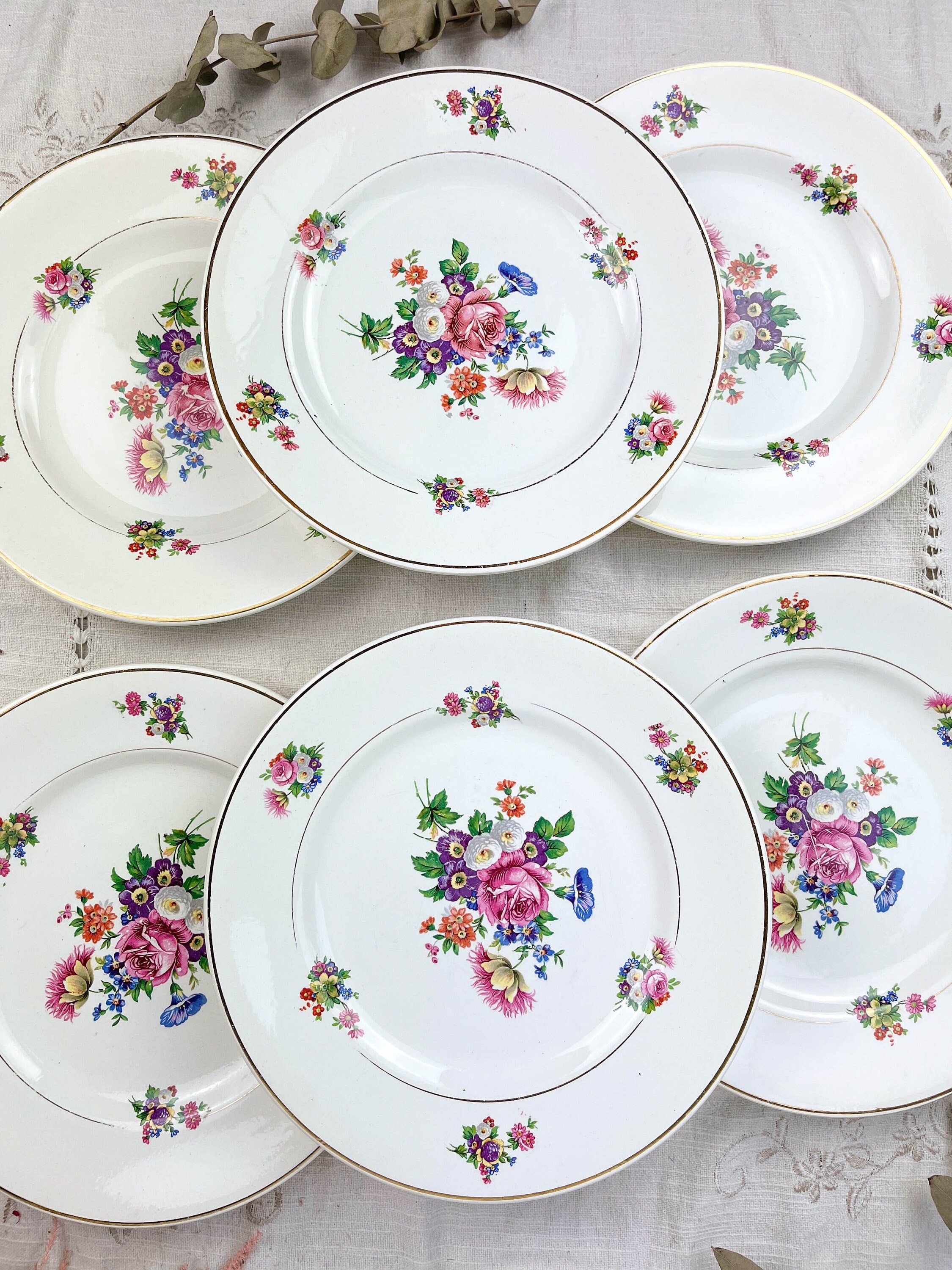 6 Assiettes Terre de Fer Salins Modèle Anny Motif Fleuris Made in France ~ Vaisselle Vintage Rose