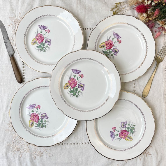 DIGOIN & SARREGUEMINES 磁器ディナープレート 5 枚 ルネモデル