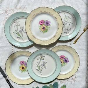 6 assiettes vintage en porcelaine française dépareillées – Jaune, vert, fleuri – Moulin des Loups - L&#39;Amandinoise