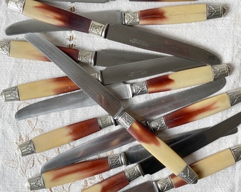 12 vintage bakelite stainless steel Pradel knives - Antique cutlery - Kitchen utensils - Vintage tableware