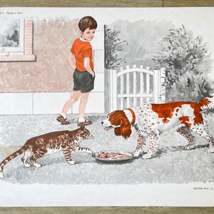 Ancienne affiche scolaire Française MDI, 1970 : Chien, chat / Course école - Affiche scolaire illustrée vintage - Décoration murale vintage