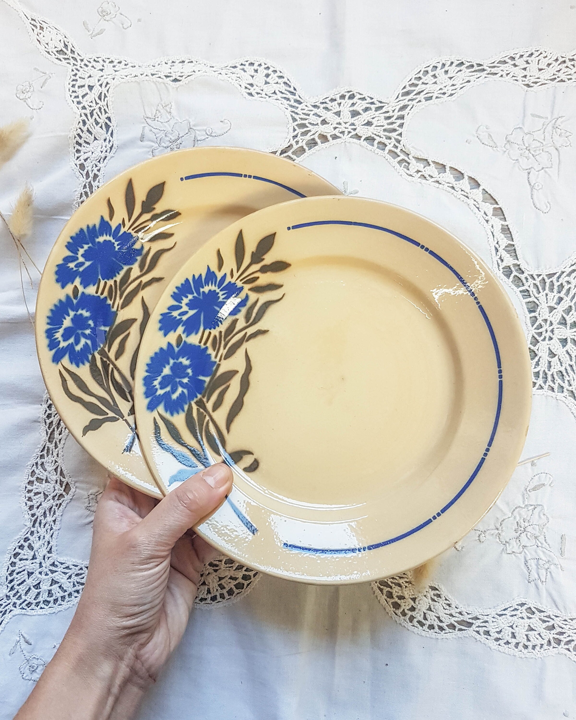 Lot de 2 Petites Assiettes à Dessert Badonvillier ~ Assiettes Vintage Late 1890S French Antique Eart