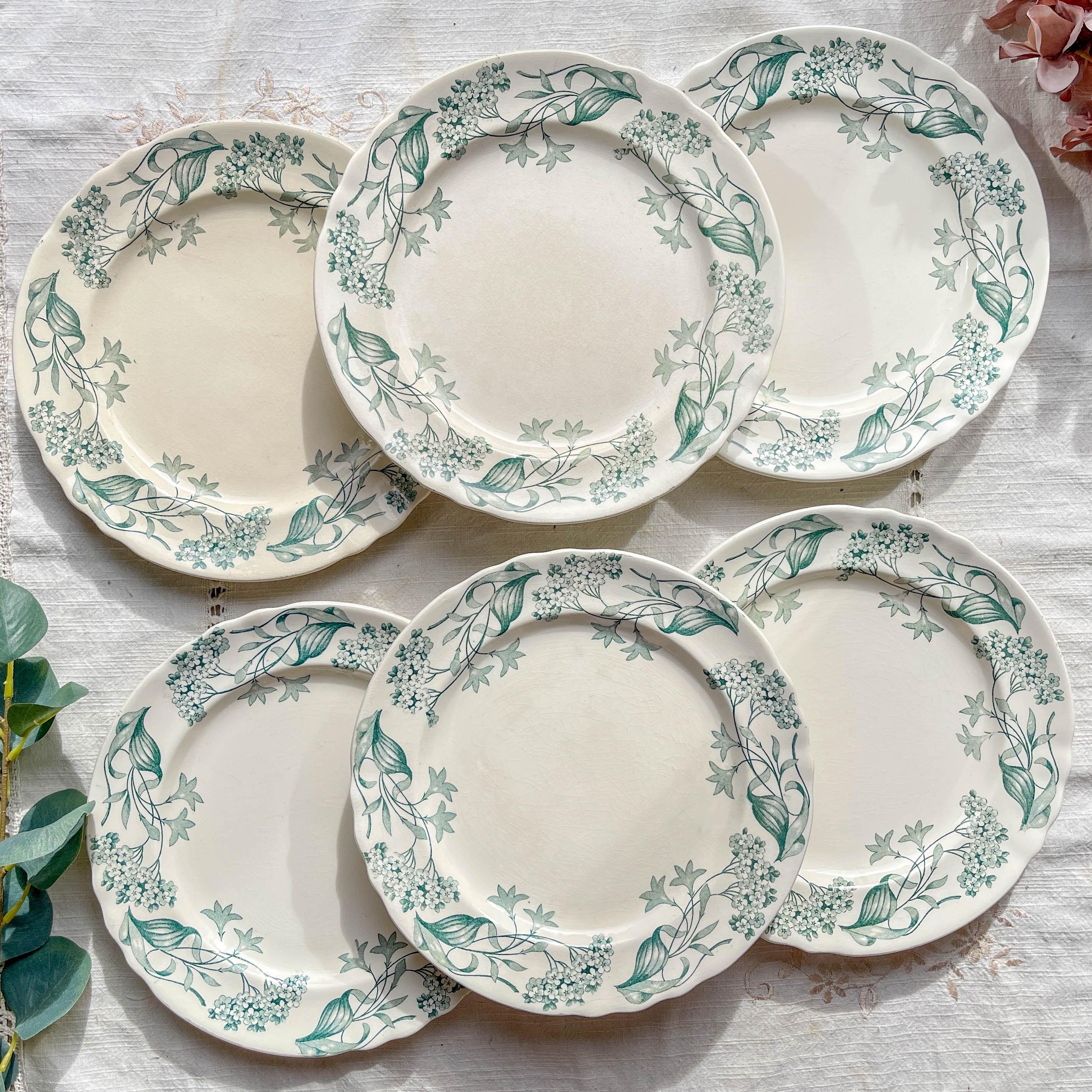 Set of 6 Antique Terre De Fer 