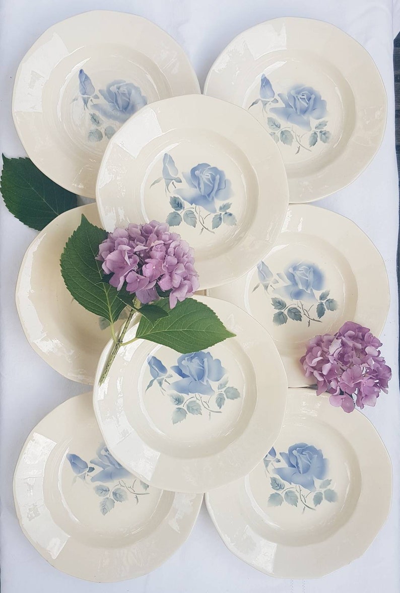 8 hollow plates Digoin Sarreguemines Blue Rose pattern Porcelain Model Cannes Vintage tableware Made in France Vintage tableware