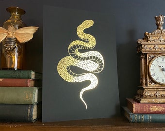 Snake box - Vertrauen Sie dem Favoriten unserer Experten