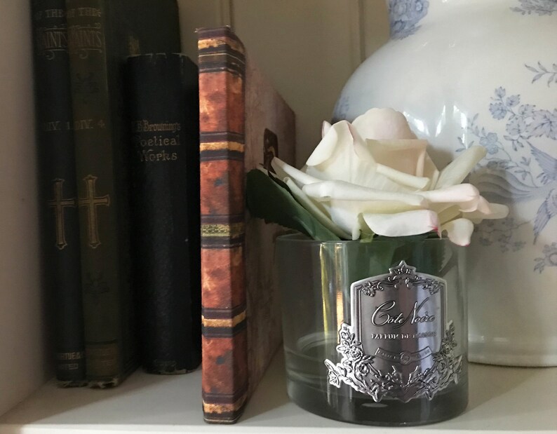 May include: A clear glass jar with a silver label that reads "Cole Noire, L'Elixir de la Beaut&eacute;, Paris" and a white rose inside. The jar is sitting on a shelf with books behind it.