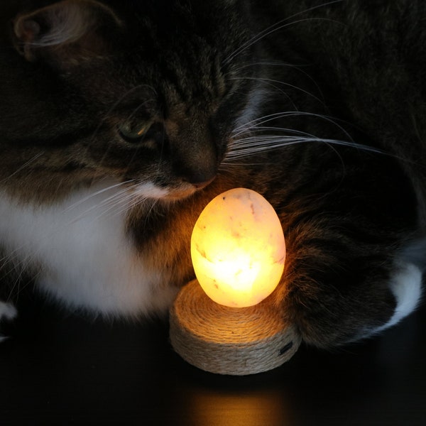 Veilleuse en quartz - Autel de méditation - Bougie sans flamme en pierre de mer naturelle - Cadeau pleine conscience