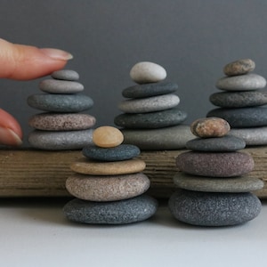 K&ouml;nnte beinhalten: F&uuml;nf Stapel glatter, grauer, brauner und beiger Steine ​​sind auf einem St&uuml;ck Treibholz balanciert. Die Steine ​​sind pyramidenf&ouml;rmig angeordnet.