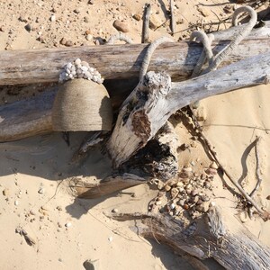 May include: A weathered, gray wooden log with a rope wrapped around it, resting on a sandy beach. A smaller, gray, ceramic pot with white shells glued to the top sits on the log.