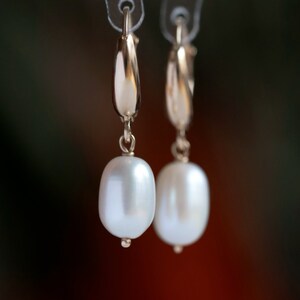 Pure By Nat Lyra Post Earring 45826 - Silver main image 1