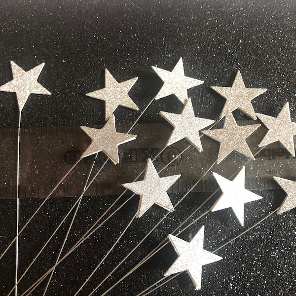 12 Silver Stars on 7” florist wire