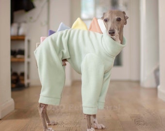 May include: A light green dog costume with a dinosaur design. The costume has a hood and a tail with colorful spikes. The dog is a grey Italian Greyhound.