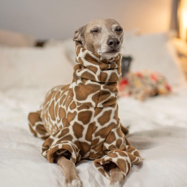 Patterned Fleece Onesies for Italian Greyhounds & Whippets