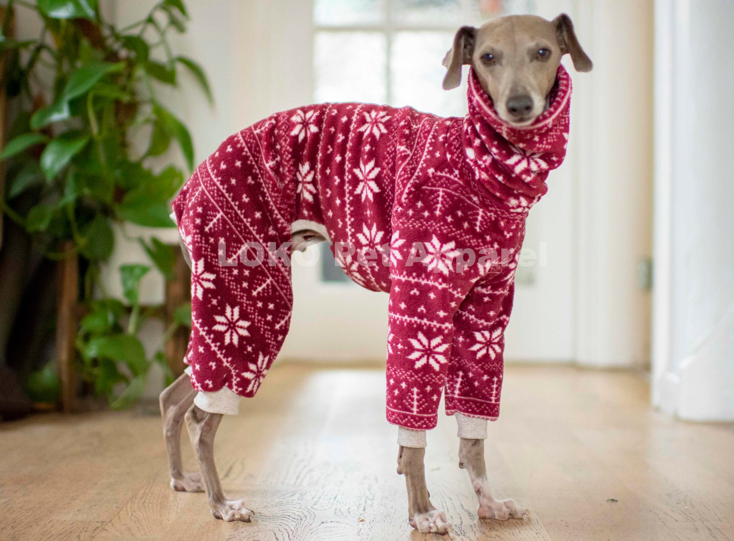 Miniature pinscher clothes hot sale