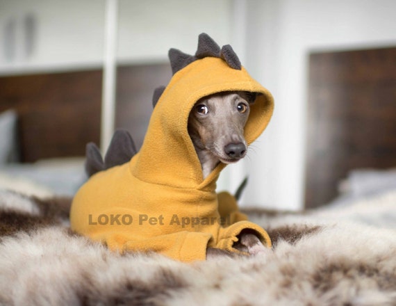 Italian Greyhound Zip Up Hoodie - Men's Green Italian Greyhound Zip Up Hoodie - Men's Green