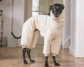 May include: A black and white Italian Greyhound dog wearing a white fluffy jumpsuit. The dog is standing on a light wood floor.
