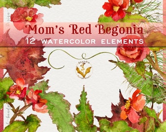 Watercolor art, Original Painting, Watercolor Begonia, Fall Floral Clipart, watercolor clipart, flower clipart, Fall clipart, fall flowers