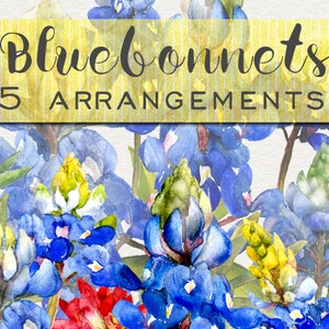 Bluebonnet Clipart, handpainted clipart, wildflower clipart, watercolor clipart, boho clipart, floral clipart frames, rustic boho clipart