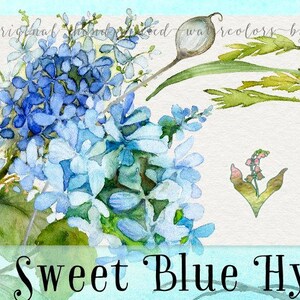 Watercolor clipart, hand painted clipart, hydrangea clipart, boho wedding clipart, summer clipart, flower clipart, watercolor hydrangea
