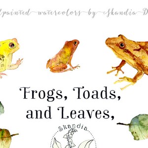 Woodland clipart, watercolor clipart, handpainted clipart, clipart nature png, nature png clipart, leaves png clipart, leaves clipart