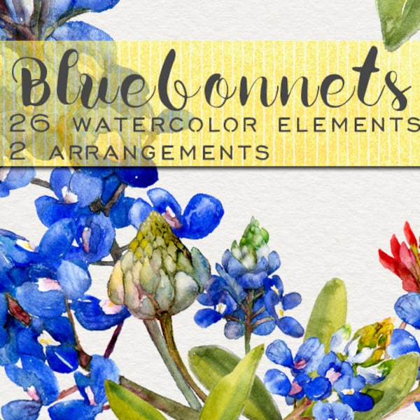Watercolor flowers, bluebonnet clipart, clipart flowers, watercolor clipart, wedding clipart, blue flower clipart, texas bluebonnet clipart