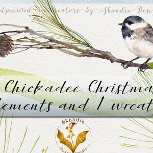 Clipart Noël, Mésange clipart, Clipart aquarelle, floral clipart, clipart rustique, peint à la main des cliparts, woodland clipart, clipart oiseau
