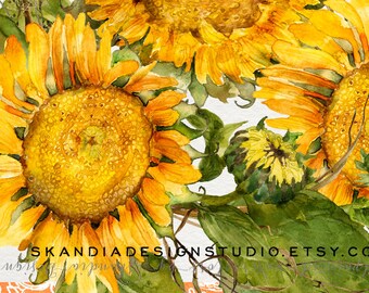 Watercolor sunflowers, sunflower clipart, Watercolor flowers, sunflower clipart, watercolor clipart, clipart flowers, fall floral clipart