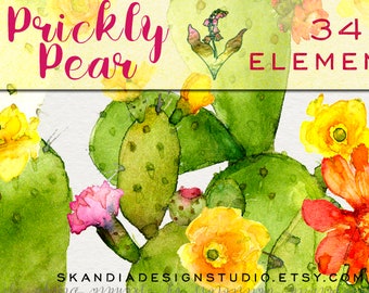 Prickly Pear Clipart Etsy Prickly Pear Clipart Etsy