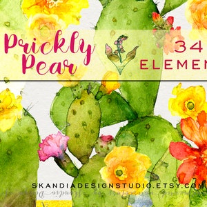 Prickly pear clipart, clipart succulente, dipinto a mano clipart, clipart dell'acquerello, succulenti parete stampa, cactus clipart, succulente clipart