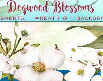 Watercolor flowers, dogwood clipart, clipart flowers, watercolor clipart, wedding clipart, white flowers, dogwood blossoms, white florals