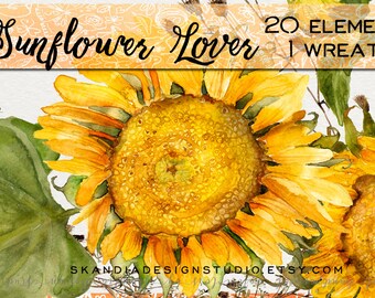 Watercolor sunflowers, sunflower clipart, fall clipart, watercolor clipart, clipart flowers, fall floral clipart, watercolor sunflowers
