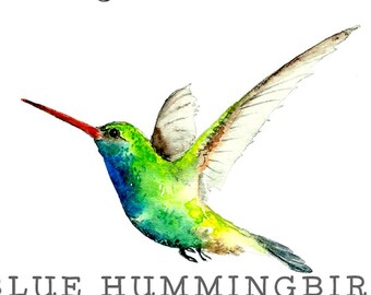 Hummingbird clipart, handpainted clipart, watercolor clipart, bird clipart, garden clipart, hummingbird png, bird png, hummingbird print
