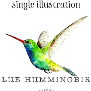 Hummingbird clipart, handpainted clipart, watercolor clipart, bird clipart, garden clipart, hummingbird png, bird png, hummingbird print image 1