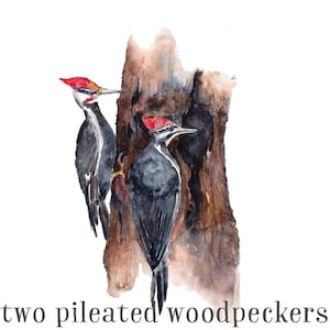 Bird clipart, wildlife clipart, woodland clipart, boho clipart, tree clipart png, handpainted clipart, watercolor clipart, birds png clipart