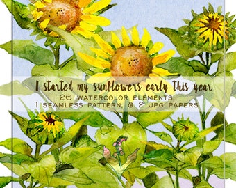 Watercolor sunflowers, sunflower clipart, Watercolor flowers, sunflower clipart, watercolor clipart, clipart flowers, sunflower painting