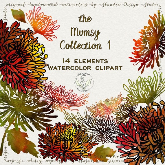 Fall Flower Clipart Hand Painted Clipart Watercolor Clipart Etsy