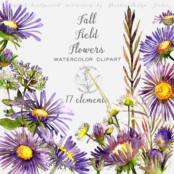 Watercolor Clipart Flower Clipart Fall Wedding Clipart Boho Etsy