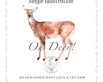 Deer clipart, Handpainted clipart, watercolor clipart, woodland clipart, wildlife clipart, clipart deer, deer png, watercolor deer print