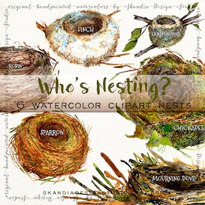 Handbeschilderd clipart, bosrijke clipart, aquarel clipart, wildlife clipart, aquarel vogel nest, kwekerij clipart, bruiloft clipart