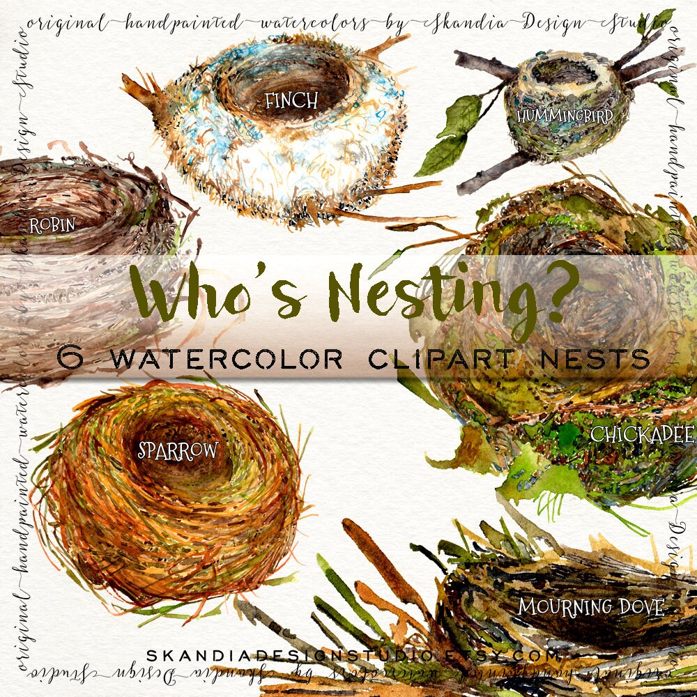 Handpainted clipart, woodland clipart, watercolor clipart, wildlife clipart, watercolor bird nest, nursery clipart, wedding clipart