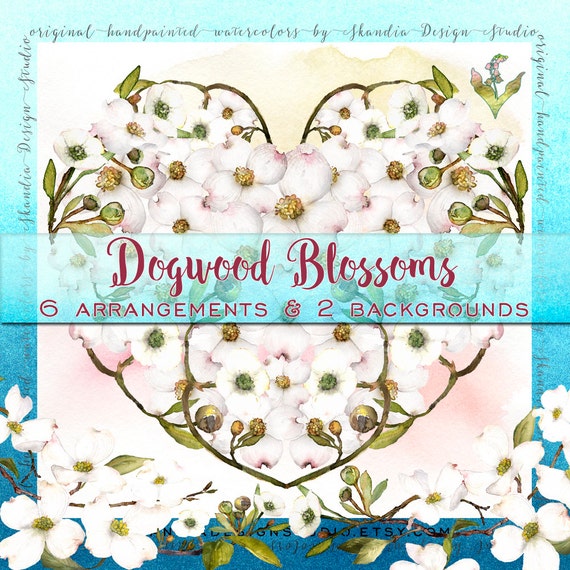 Watercolor Flowers Dogwood Clipart Clipart Flowers | Etsy
