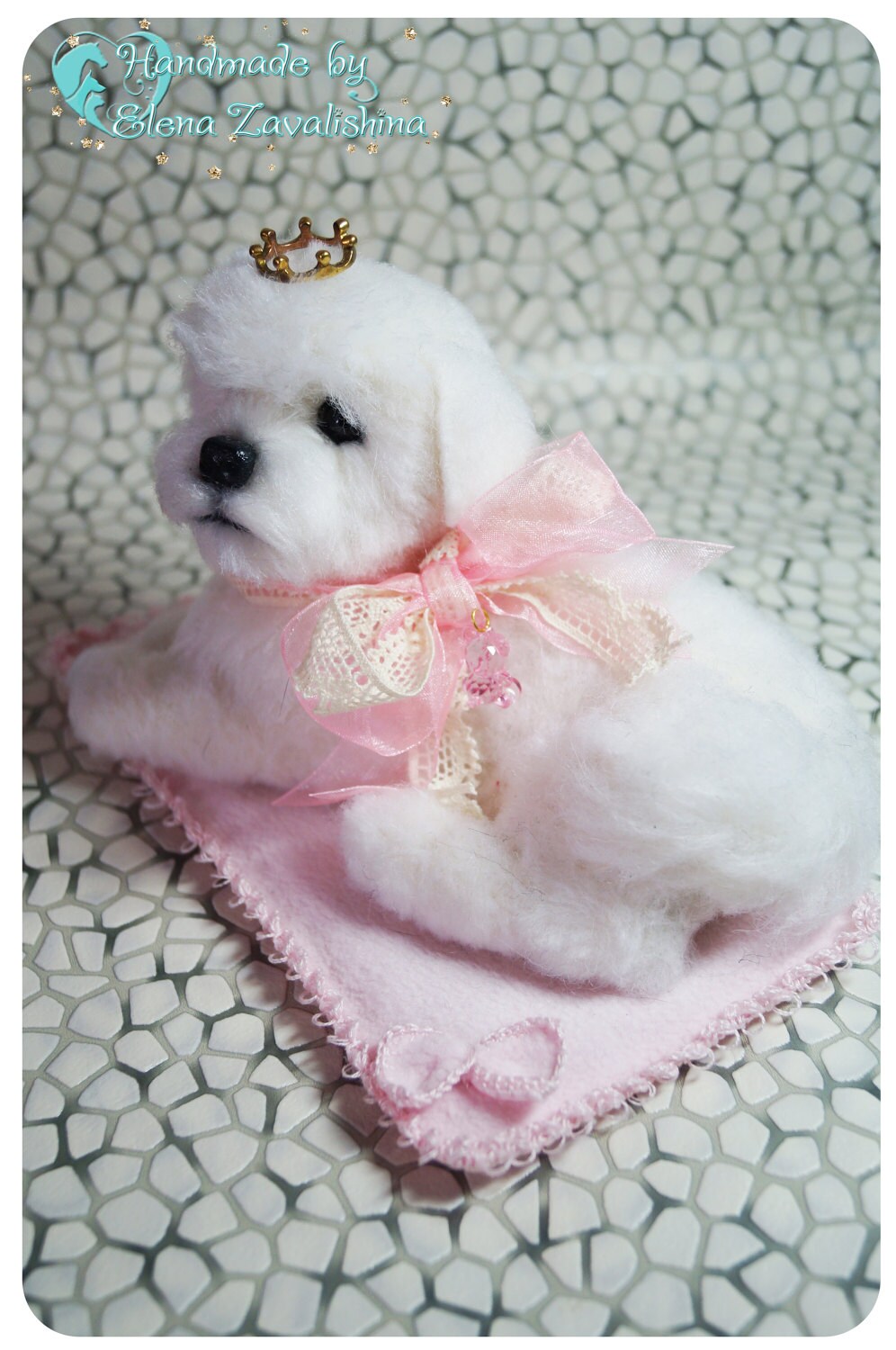bichon frise dressed up